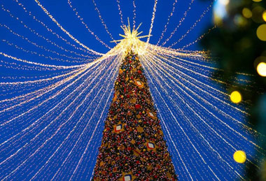 沃4G+超卓网络新年亮灯礼打造全球最高的圣诞树