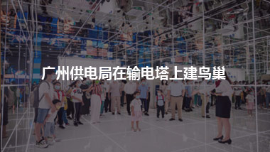 广州供电局 在输电塔上建鸟巢